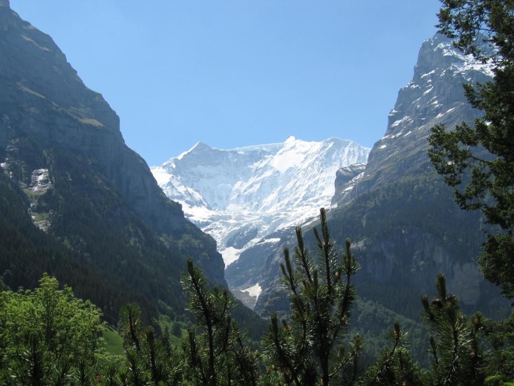 Ferienwohnungen Chalet Hohturnen Grindelwald Eksteriør billede